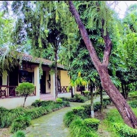 Rhino Lodge Bardia Pvt Ltd Bardiya Kültér fotó