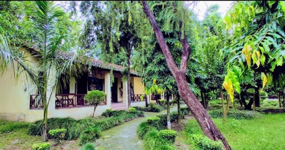 Rhino Lodge Bardia Pvt Ltd Bardiya Kültér fotó