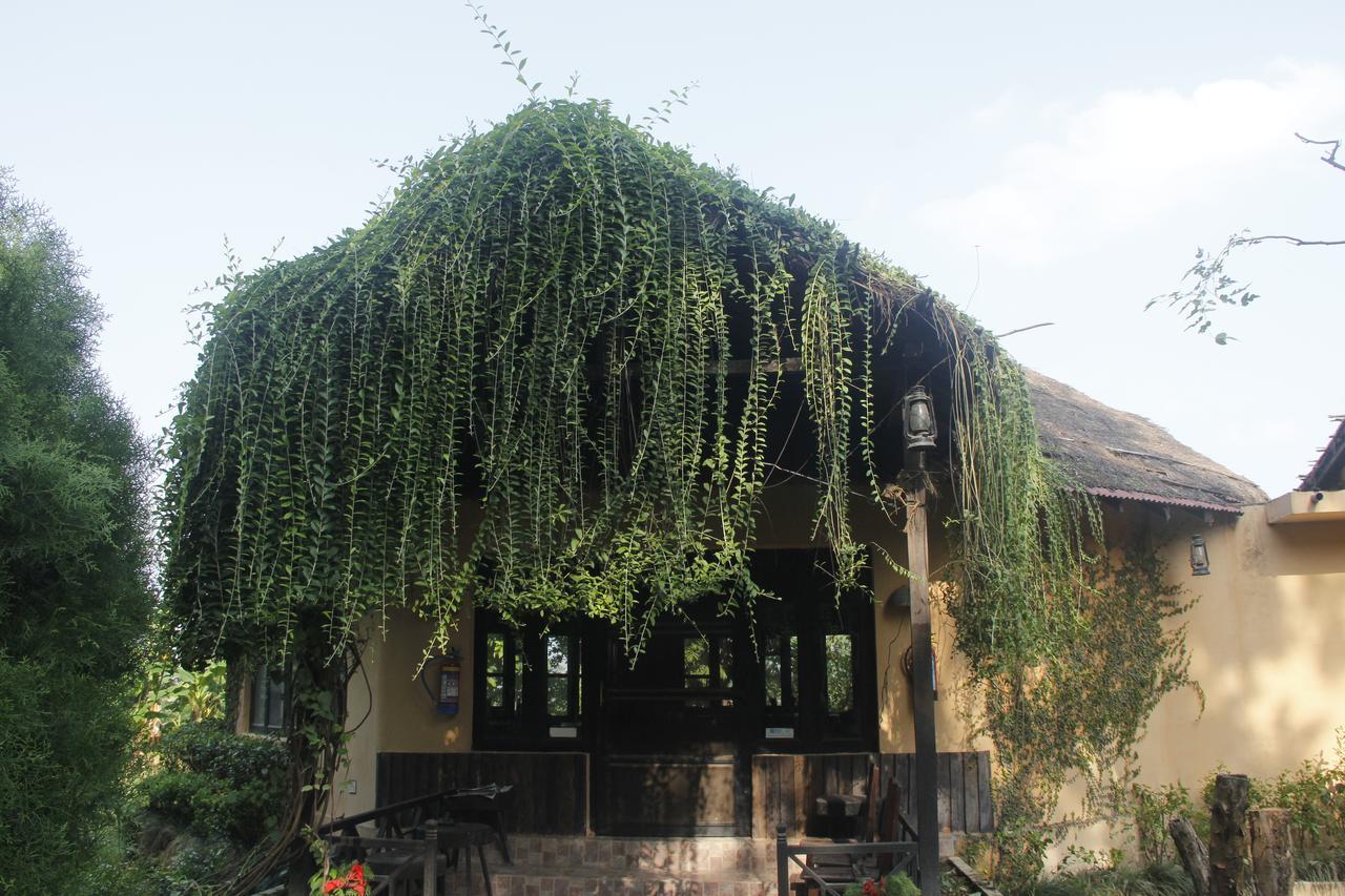 Rhino Lodge Bardia Pvt Ltd Bardiya Kültér fotó